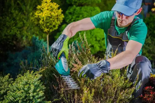 landscaping services East Glenville